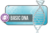 ThetaHealing Basic DNA Logo