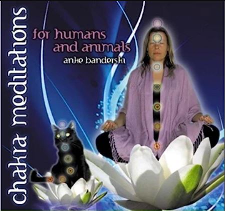 ChakraMeditations-CD